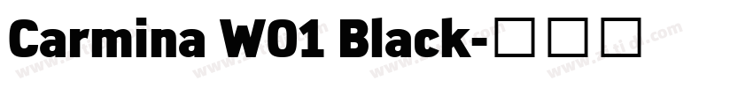 Carmina W01 Black字体转换